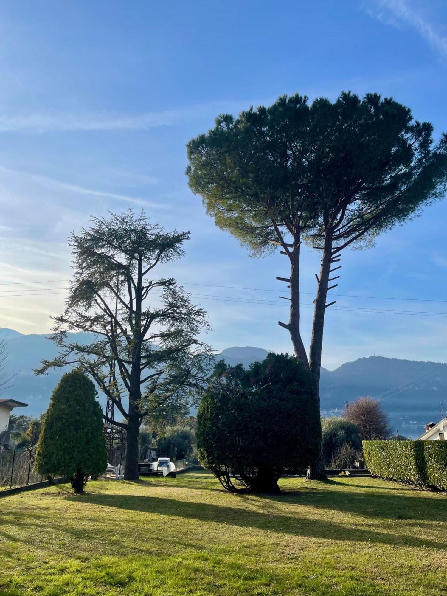 Villa Rosi Lierna Kültér fotó